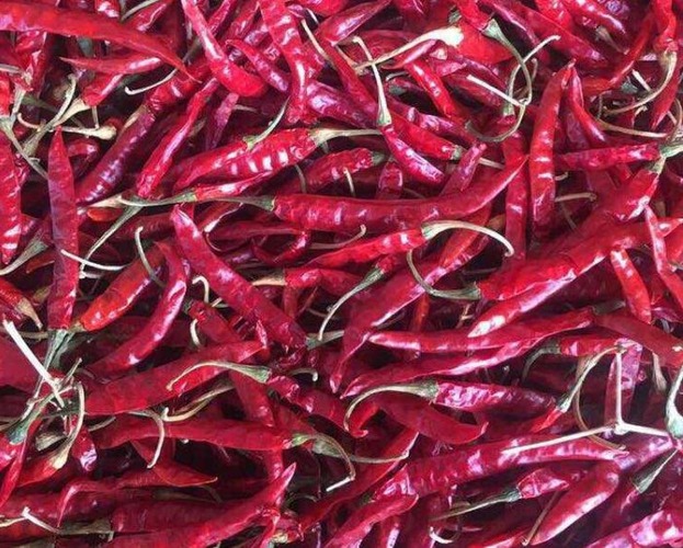 Red Chilli
